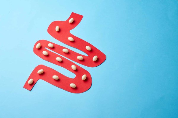 Dénichez le meilleur probiotique : votre guide ultime pour une flore intestinale florissante